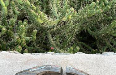 Marina Castellana Studios - Foto 15