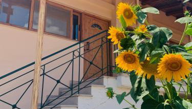 BOKAS EXOTIC HOUSE - Foto 2