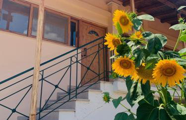 BOKAS EXOTIC HOUSE - Foto 2