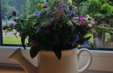 Kaczmarówka - Foto 20