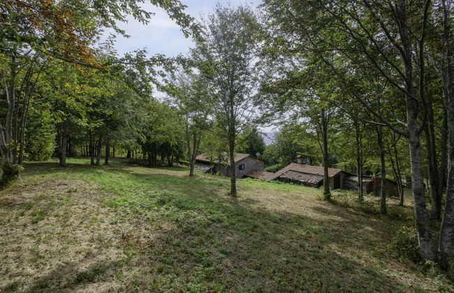 I 3 Faggi - Photo 52