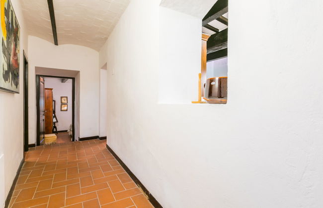 Bardeggiano - Caterina 3 (COL246) - Foto 26