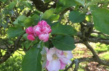 The Old Gasworks - Foto 33