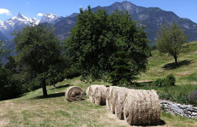 La Majón dé Fohtèn - Foto 25