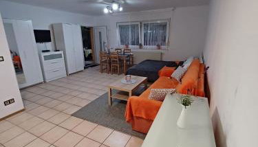 Ferienwohnung Neli am Rhein - Foto 1