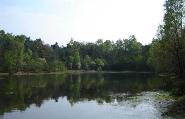 Kempen Comfort With Sauna & Tub - Foto 46