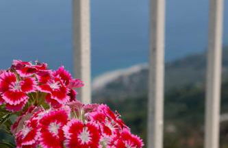 Stamos Paradise View - Foto 6