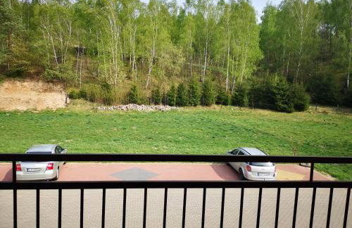 Agroturystyka w Dolinie Narwi - Photo 42