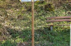 Ferienwohnung in der Stegwiese - Foto 15