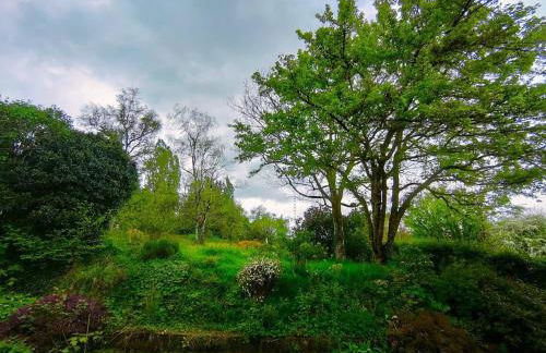 Chastenay - Bail Partner - Foto 45