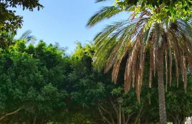 Light Blue Apartment Orihuela Costa - Foto 36