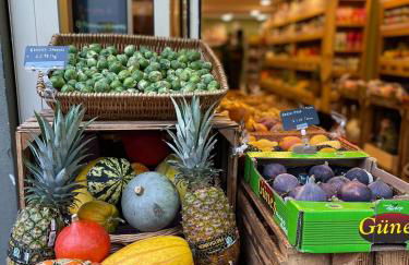 Comfy child/dog friendly garden flat heart Camden - Foto 12