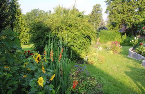 Ferienwohnung Dreilanderblick in Gorlitz - Foto 27