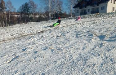 Bieszczadzki Horyzont Apartamenty - Photo 79