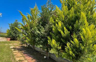 Felix Villa - Foto 6