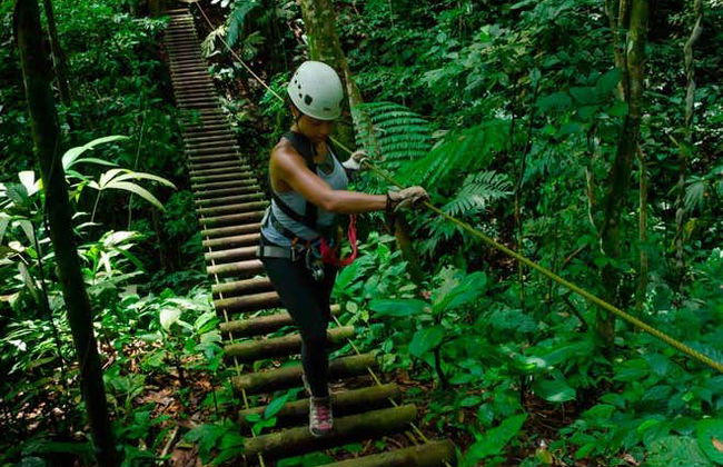 Zipline + Abseiling in Puerto Viejo de Limón - Foto 2