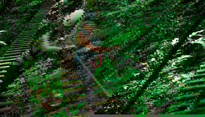 Traversée de la jungle costaricienne