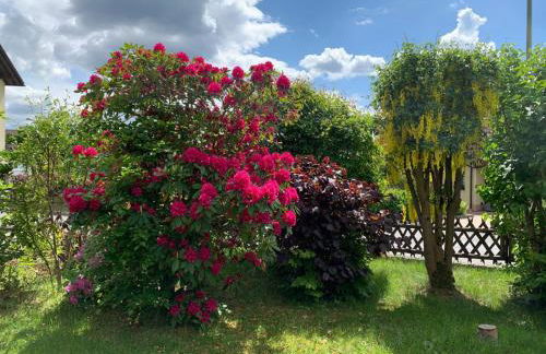 Ferienwohnungen Hopfen und Malz - Foto 15