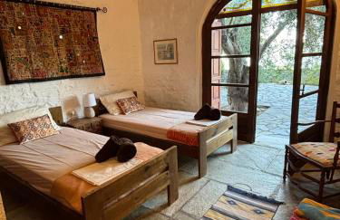 Olive Grove House - Foto 27