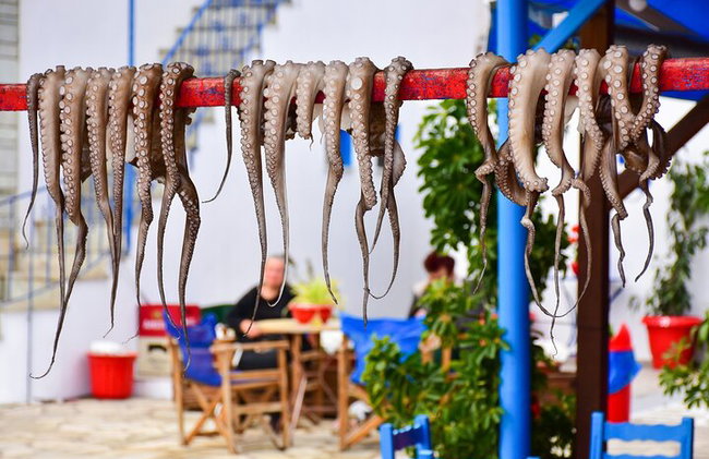 Rhodes Self Drive 4x4 Expedición al desierto y almuerzo tradicional - Foto 6