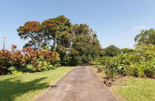 Orchid Hale - Foto 51