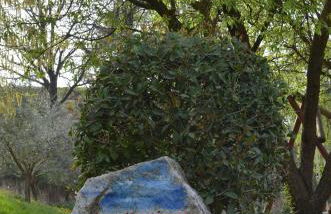 Agriturismo Dondino - Foto 34