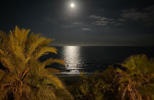 First Beachline Deluxe with Garden and Terrasse in Sun Club - Foto 57