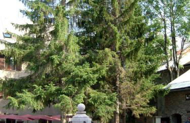 Les Sept Étoiles - Photo 8