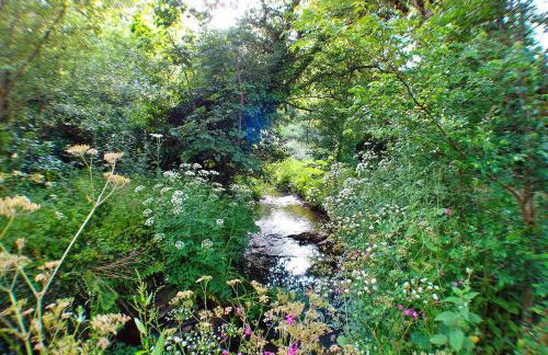 Finest Retreats - Porthcothan Mill Cottage - Foto 13