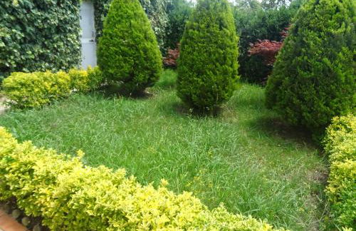 Casa Rural Arratzain - Foto 41