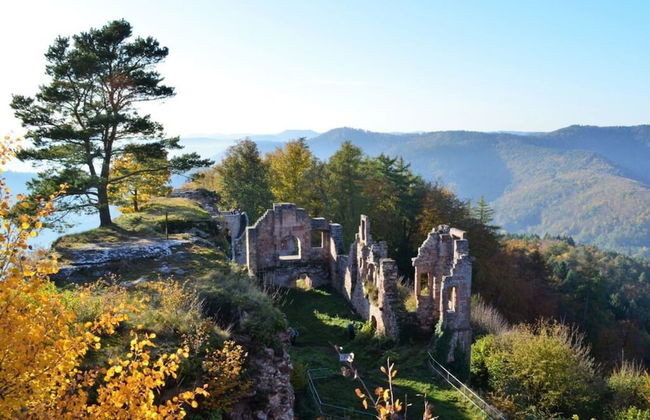 Palatinate Forest Comfortable Holiday Residence - Photo 20