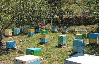 'Perithyron', Konstantina's House, Old Perithia - An Authentic stone Retreat in Corfu's most Historic Village - Photo 42