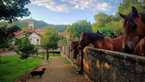 Apartamentos la buganvilla Novales - Foto 3