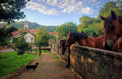 Apartamentos la buganvilla Novales - Foto 3