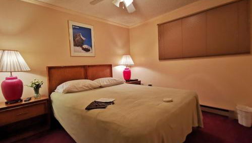 Enjoy the Long Range View, Ski in n out Top of the Mountain condo - Foto 2