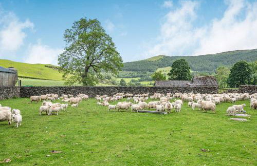 Waedog Bach - Foto 23