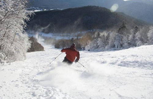 Exposed Beam 3BR Modern Mountain Retreat - Foto 42