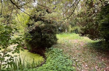 Relaks w boberkach Prywatna sala do Bilarda - Foto 50