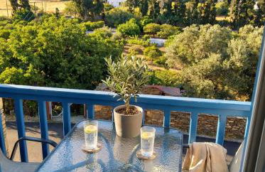 Andros Guesthouses - Foto 9