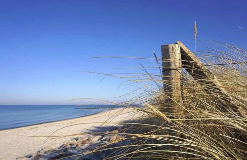 Pferdestall - Foto 17