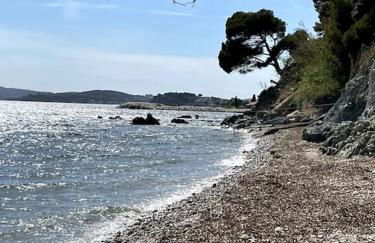 La Perle de Toulon, grand appartement tout confort, idéalement situé - Foto 36