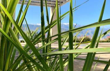 Aggelos and Thisbe Chania Suburbs Sea View Guest House - Foto 42