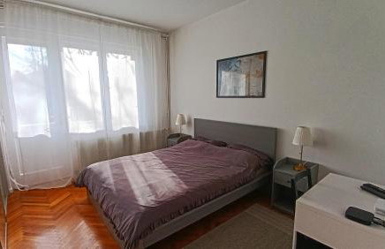 Home Run Apartment - Photo 15