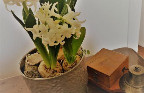 Dimora del Conte Sorrento coast seaview - Foto 63