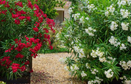 Domaine du Mas Foucray - Foto 67