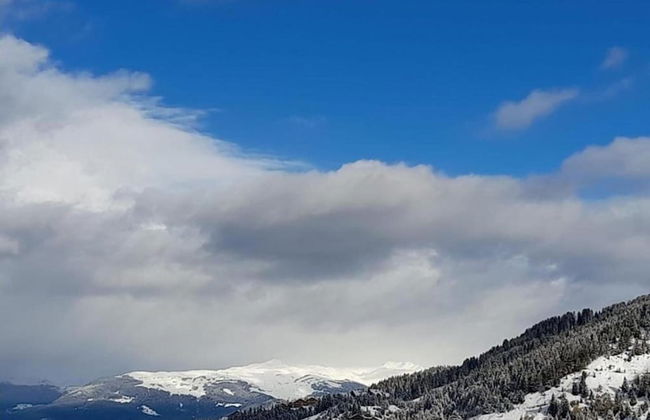 Large Chalet With Barrel Sauna and Whirlpool - Foto 32