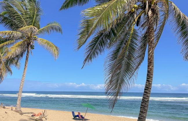 SLABDR Coliving | Once Surf Salvación. - Foto 39