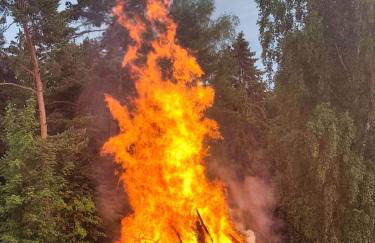 Ferienhaus Ellmi - Foto 15