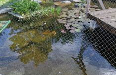 Ferienhaus Hombergshalden - Foto 22