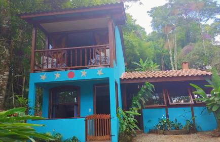 Estrela da noite - Foto 2